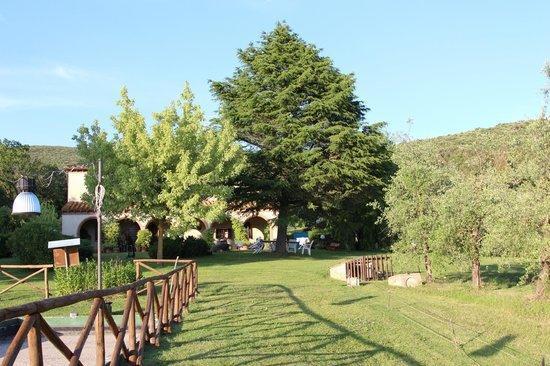Agriturismo San Valentino Amelia Exteriör bild